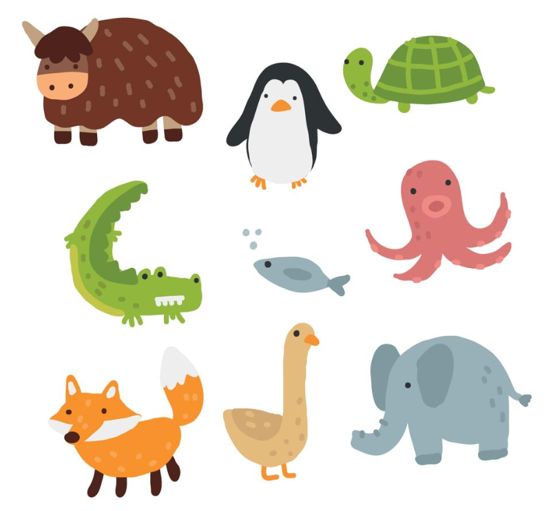 animals
